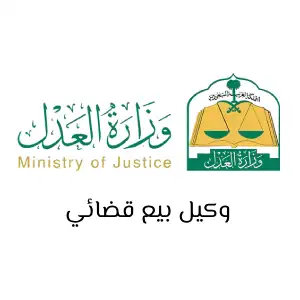 Judicial sales agent